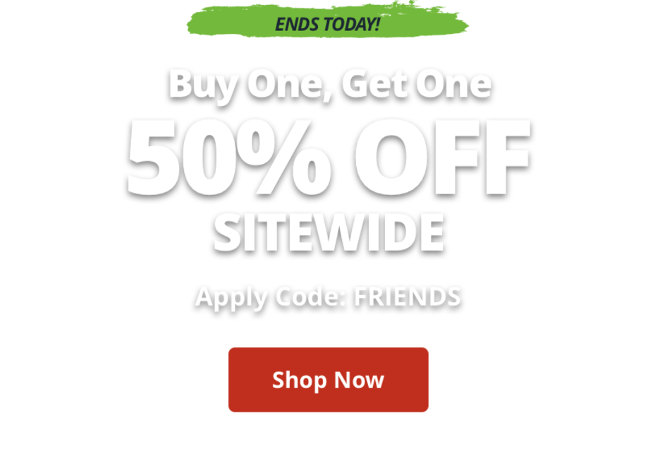 Buy One, Get One 50% Off