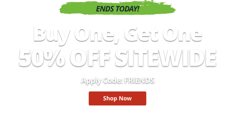 Buy One, Get One 50% Off