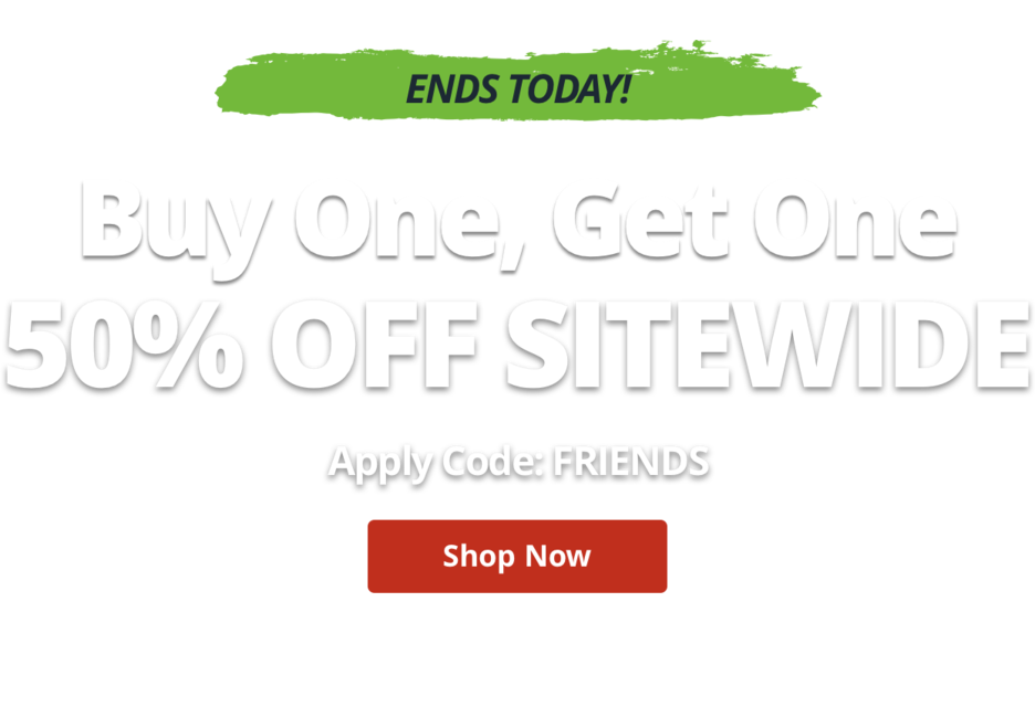 Buy One, Get One 50% Off